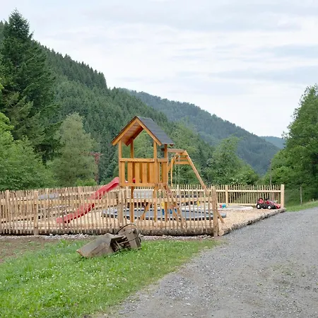 Waldblick Daire Mühlenbach
